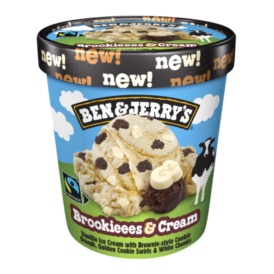 Ben & Jerry's Brookiees & Cream 465ml